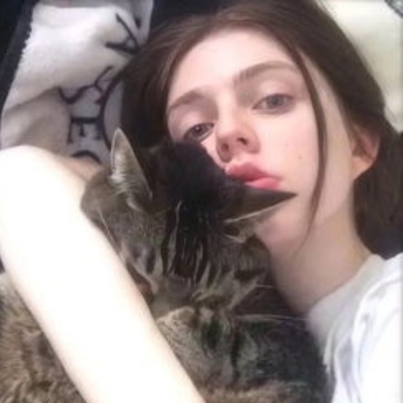 sesetayurdai